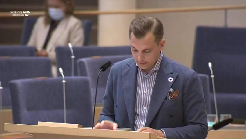 Stillbild från Interpellationsdebatt: Sveriges insatser i Mali