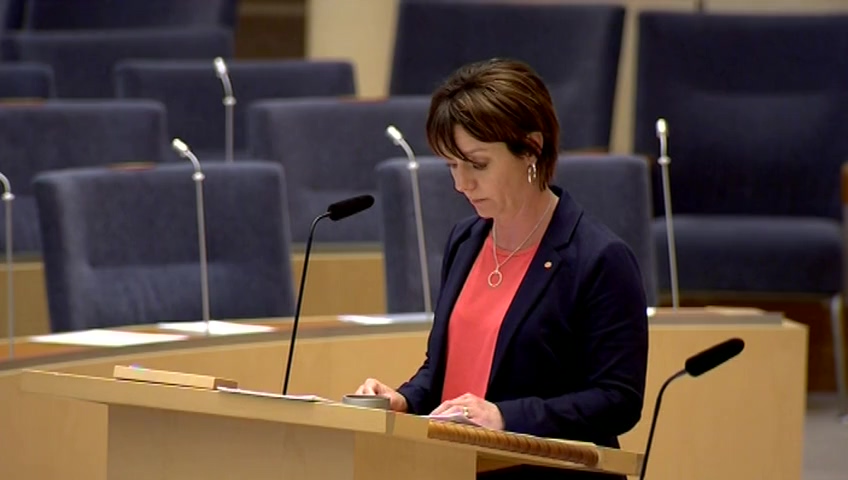Stillbild från Interpellationsdebatt: Rymdstrategin