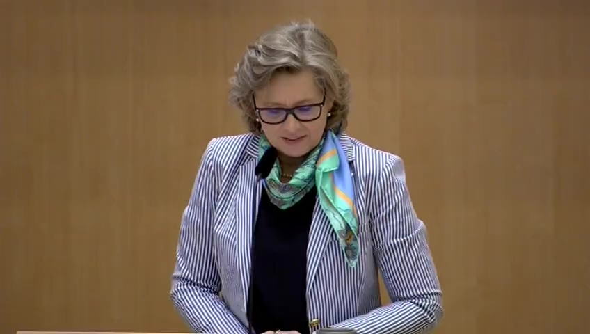 Stillbild från Debatt om förslag: Sveriges medlemskap i FN:s säkerhetsråd 2017-2018