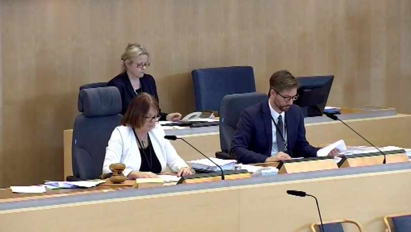 Stillbild från debatten i kammaren