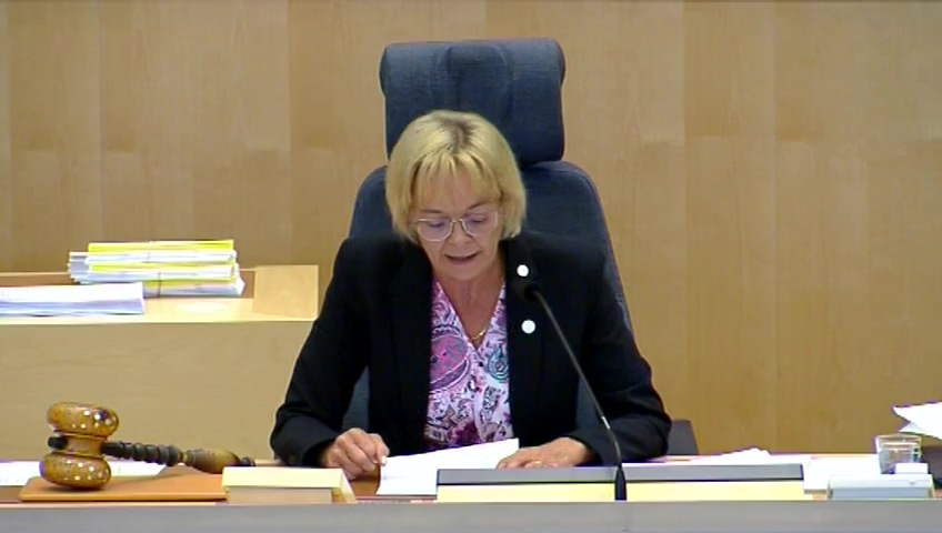 Stillbild från debatten i kammaren