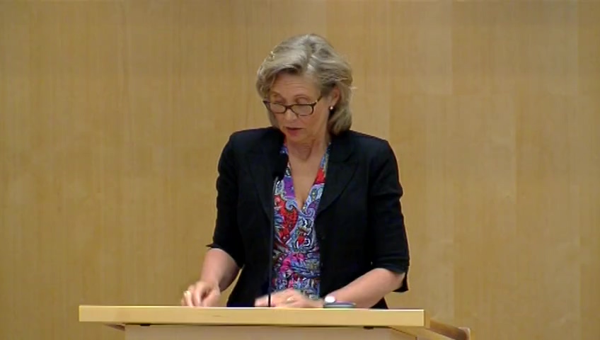 Stillbild från Debatt om förslag: FN och mänskliga rättigheter i svensk utrikespolitik