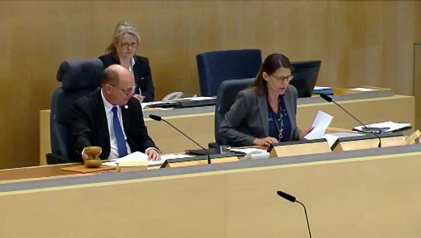 Stillbild från debatten i kammaren