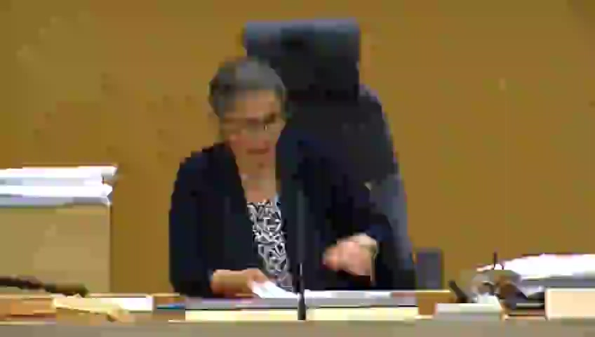 Stillbild från debatten i kammaren
