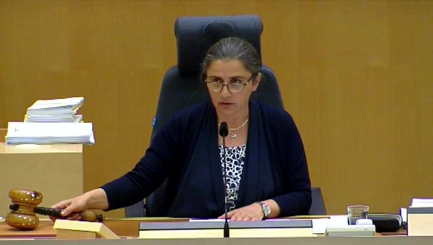 Stillbild från debatten i kammaren