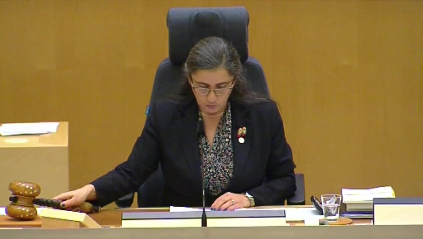 Stillbild från debatten i kammaren