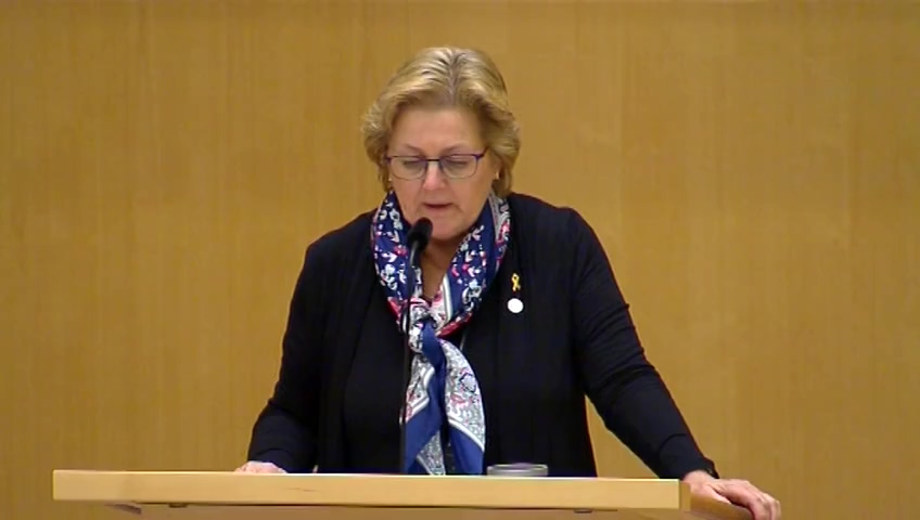 Stillbild från Debatt om förslag: Fortsatt svenskt deltagande i Natos utbildnings- och rådgivningsinsats Resolute Support Mission i Afghanistan