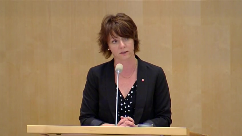 Stillbild från Debatt om förslag: Ett klimatpolitiskt ramverk för Sverige