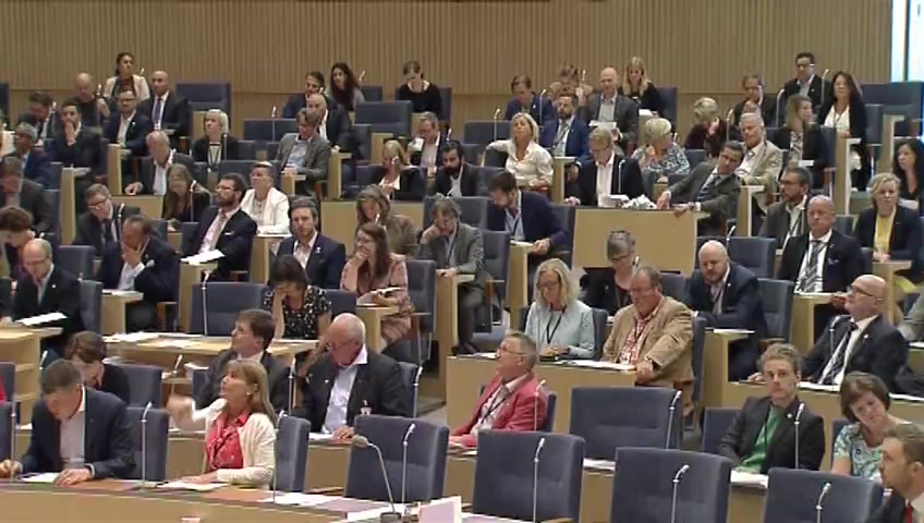 Stillbild från debatten i kammaren