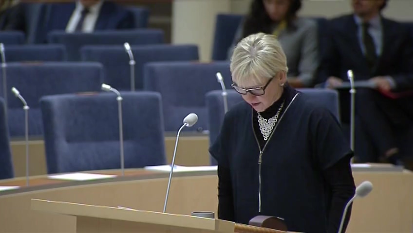 Stillbild från Interpellationsdebatt: Det svenska stödet till Frankrike
