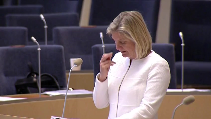 Stillbild från Interpellationsdebatt: Äldre på framtidens arbetsmarknad