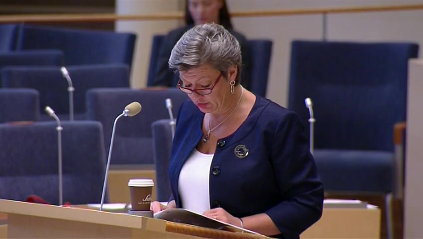 Stillbild från Interpellationsdebatt: Heltid