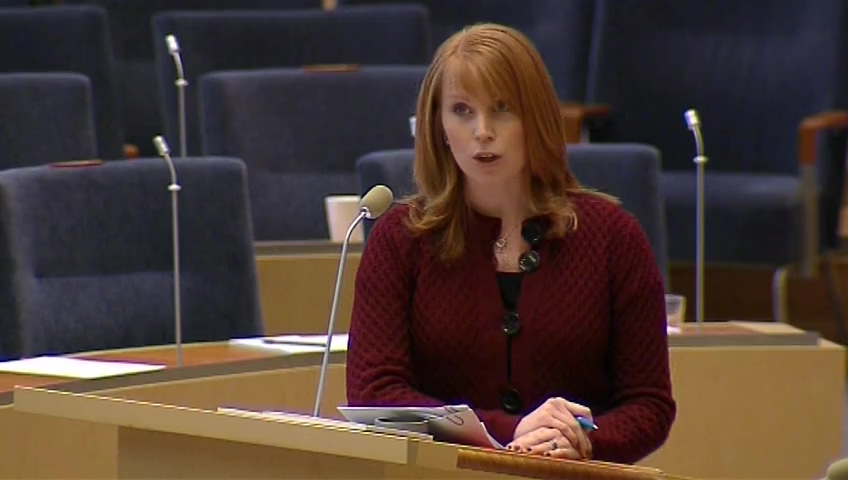 Stillbild från Interpellationsdebatt: Verksamhetsbidrag till resurscentrum för kvinnor