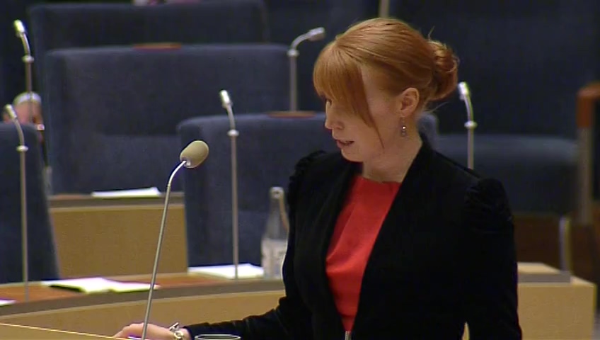 Stillbild från Interpellationsdebatt: Nationell strategi för besöksnäringen