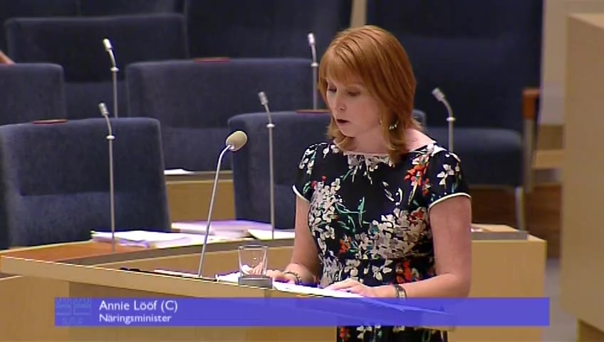 Stillbild från Interpellationsdebatt: Industrins och basnäringens betydelse för Dalarnas utveckling