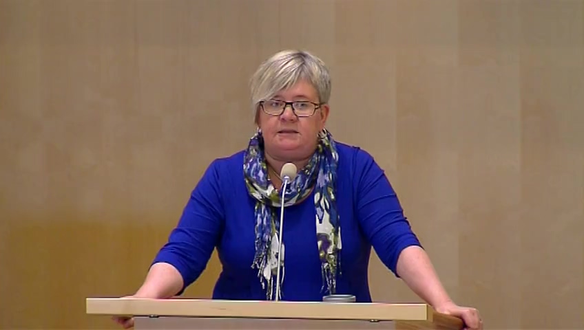 Stillbild från debatten i kammaren