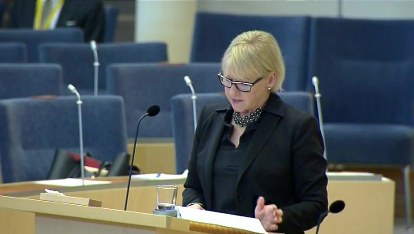 Stillbild från Interpellationsdebatt: Stöd till Somaliland