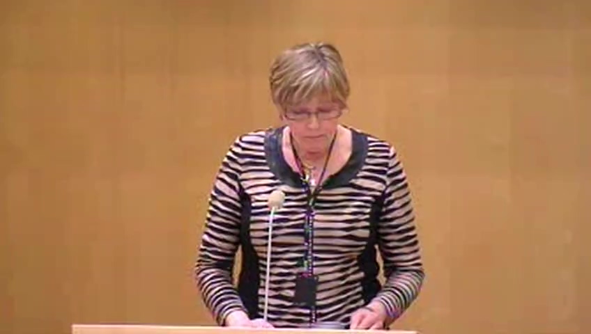 Stillbild från debatten i kammaren