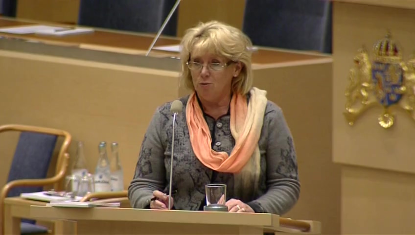 Stillbild från Interpellationsdebatt: Miljörisker med planerat kärnkraftverk i Pyhäjoki