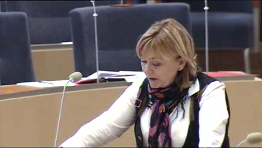 Stillbild från Interpellationsdebatt: Implementeringen i svensk rätt av internationella brott