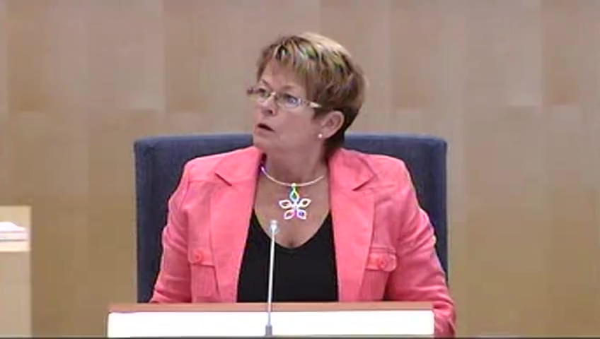 Stillbild från debatten i kammaren