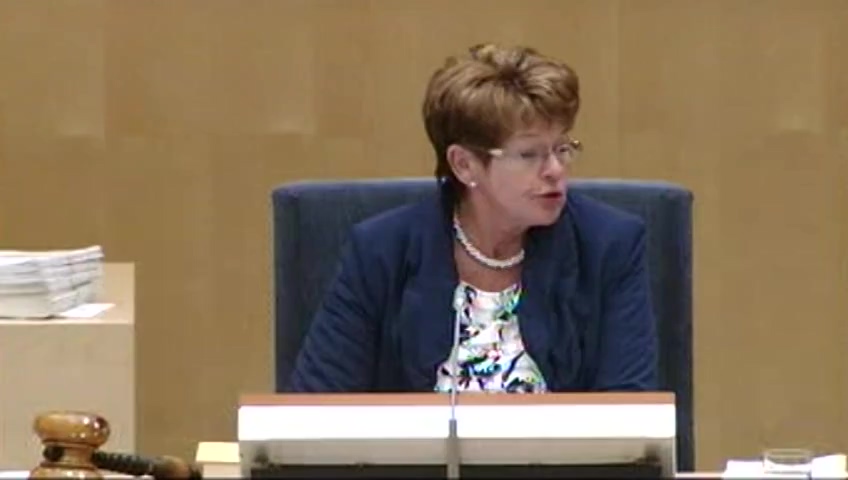 Stillbild från debatten i kammaren