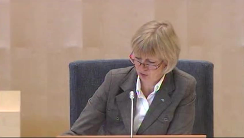Stillbild från debatten i kammaren