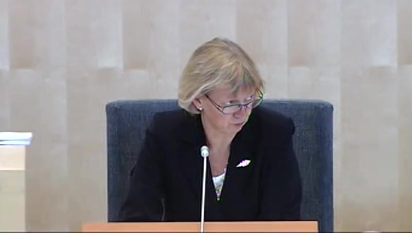Stillbild från debatten i kammaren