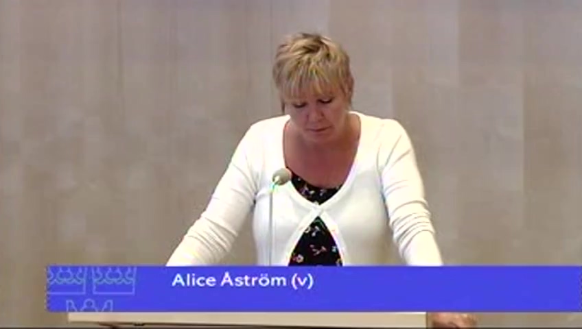 Stillbild från Debatt om förslag: Sveriges antagande av rambeslut om en europeisk bevisinhämtningsorder
