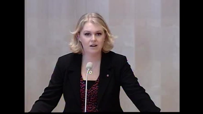 Stillbild från debatten i kammaren