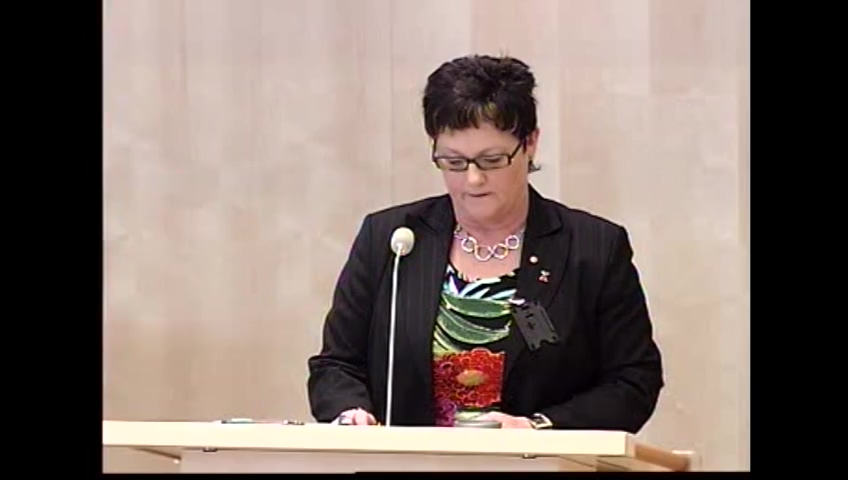 Stillbild från debatten i kammaren