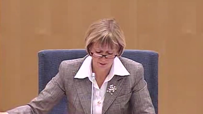 Stillbild från debatten i kammaren