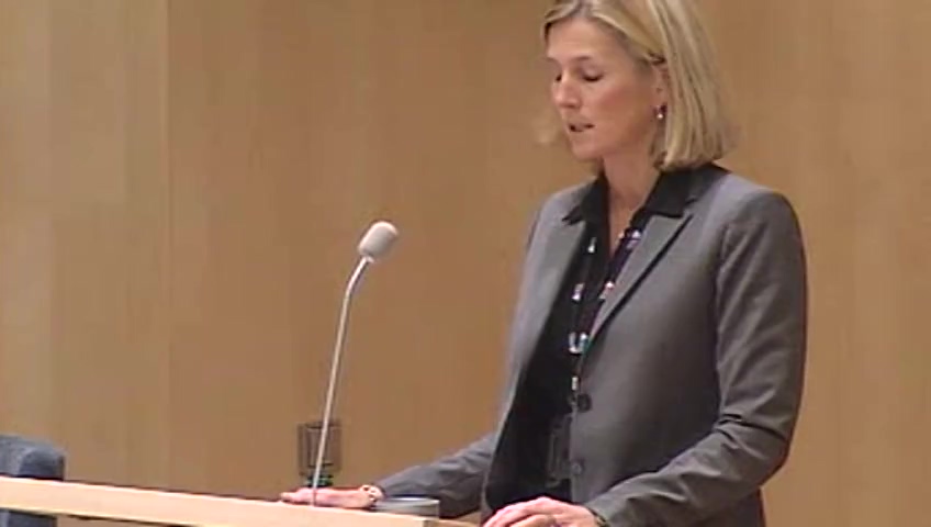 Stillbild från Debatt om förslag: Försvar samt beredskap mot sårbarhet – budgetåret 2007