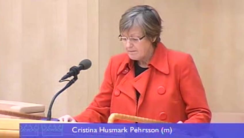 Stillbild från debatten i kammaren
