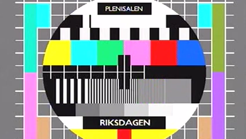Stillbild från debatten i kammaren