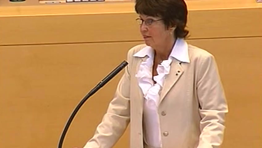 Stillbild från Interpellationsdebatt: planering av köpcentrum
