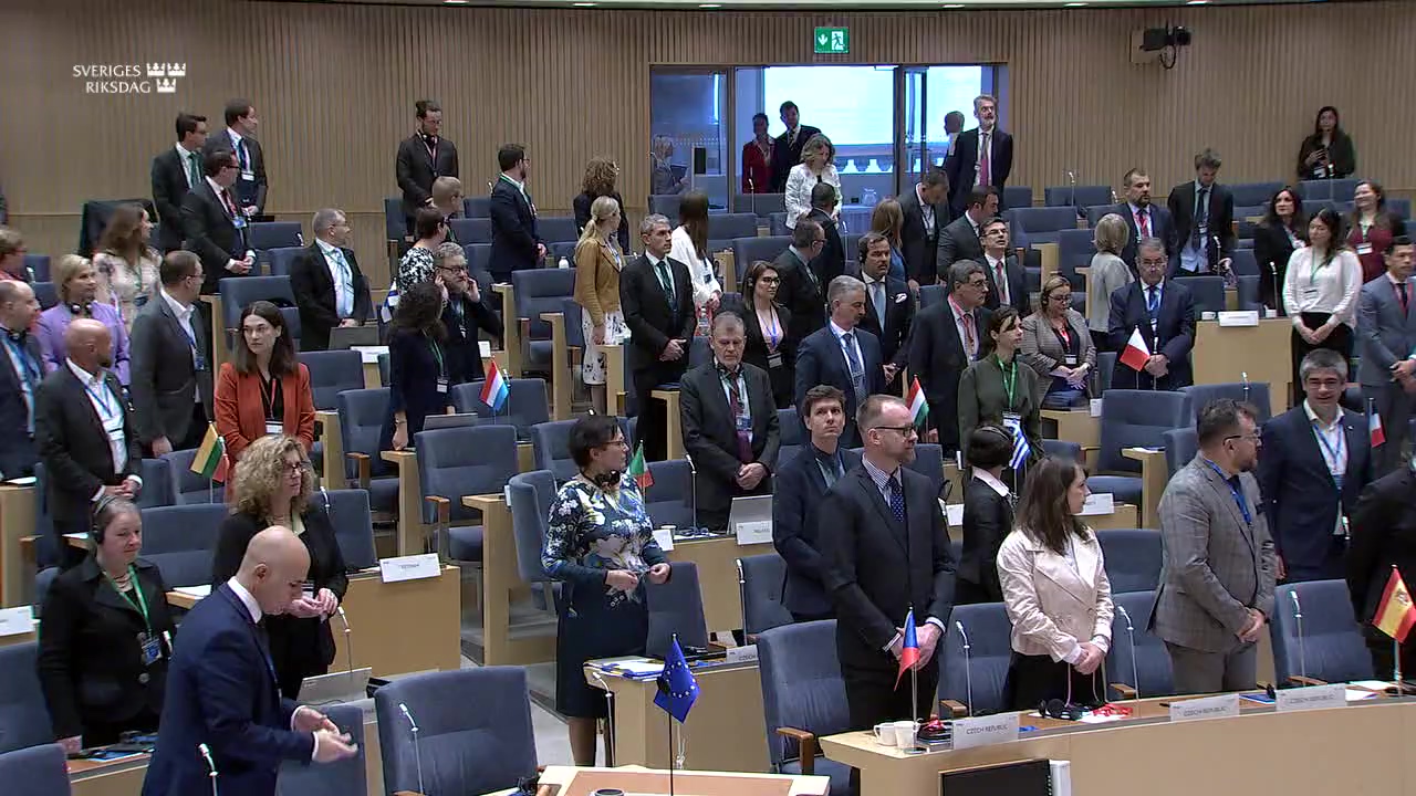 Stillbild från Session: Cosacs plenarmöte