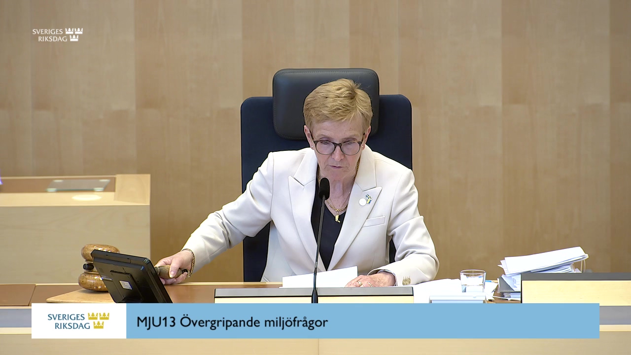 Stillbild från debatten i kammaren