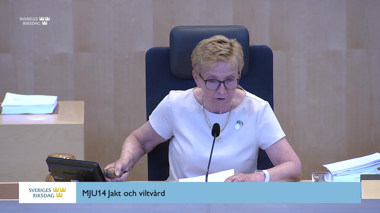 Stillbild från debatten i kammaren